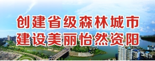 干美女视频创建省级森林城市 建设美丽怡然资阳